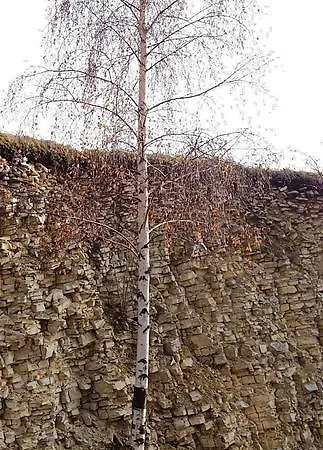 Prestige Wierzchowisko