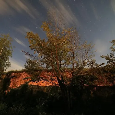 Bed & Breakfast Prestige Wierzchowisko